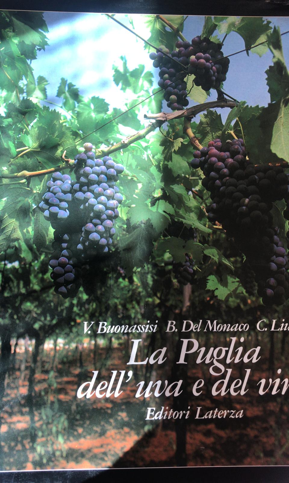 LA PUGLIA DELL'UVA E DEL VINO